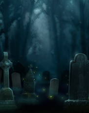 Casino Software Providers